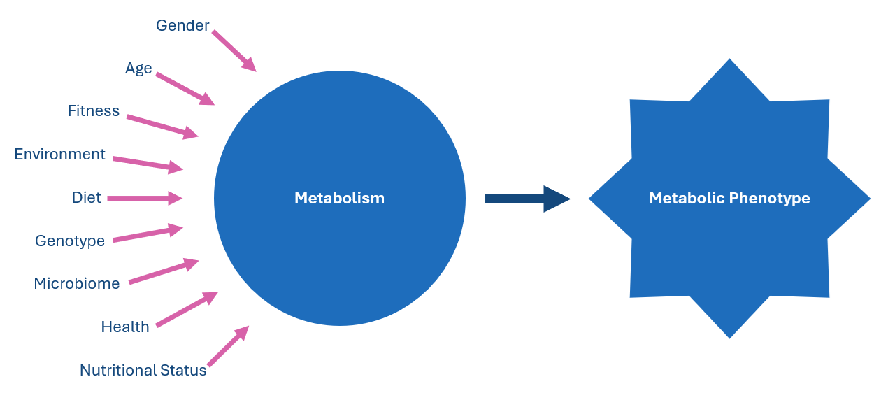 Factors Affecting Metabolic Profile