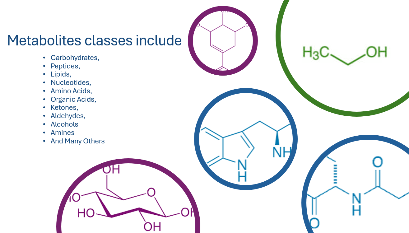 Metabolites Classes